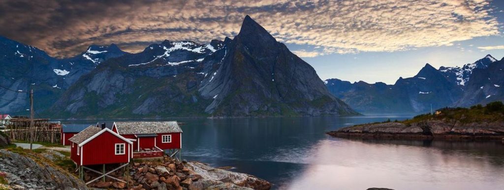 Języki skandynawskie a rynek pracy
